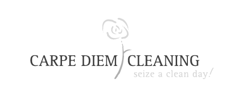 Carpe Diem Cleaning